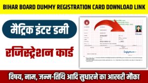 bseb dummy registration card download 2023